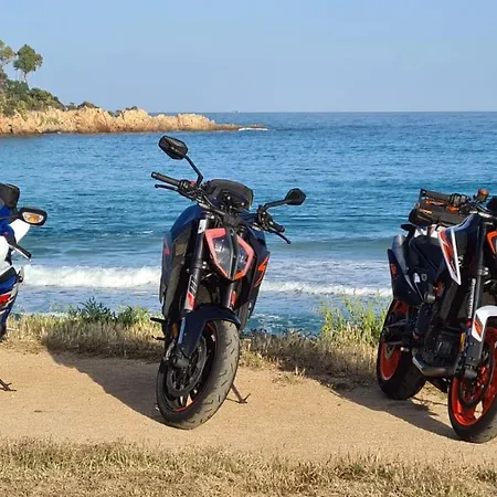 公寓 Un Giardino Sul Mare 圣玛丽亚纳瓦雷